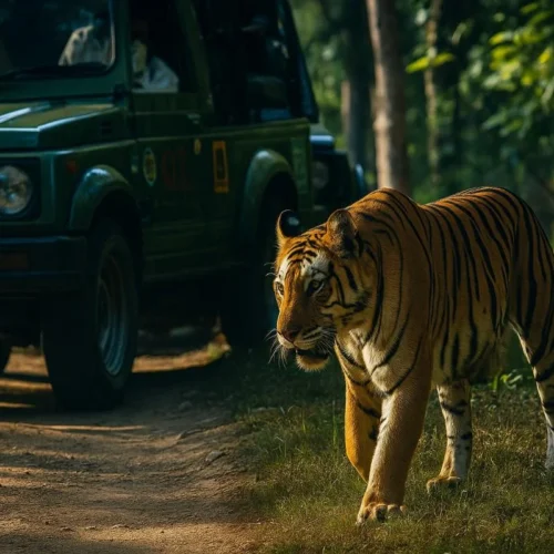 4 Nights / 5 Days Dooars Tour Package