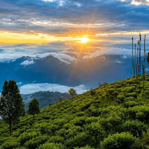 4 Nights / 5 Days Offbeat Darjeeling Tour Package