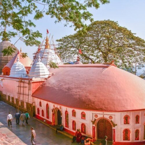 Package 1: Magical Assam Wildlife & Culture Tour