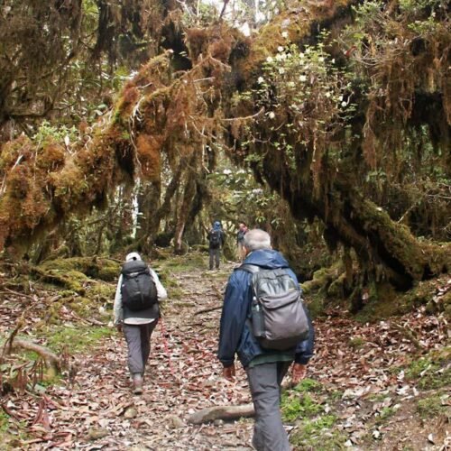 Ziro Valley + Itanagar Cultural Tour (6D/5N)
