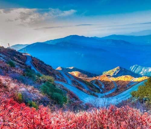 Majestic Silk Route